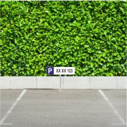 Autonummer Parkplatz Parkplatzschild Langformat