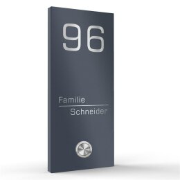 Funkklingel Edelstahl Aufputz 1 Familien 110x250mm Premium